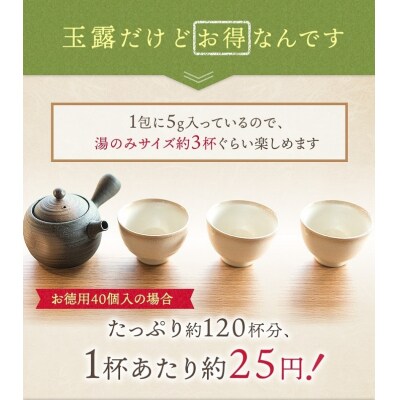 八女星野玉露ティーバッグ5g×50個.AB527