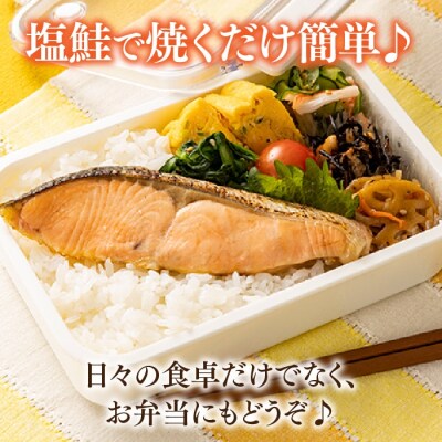 得用・定塩(塩鮭)銀鮭切身・14切.AC253