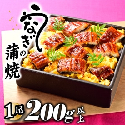 うなぎの蒲焼1尾(計200g以上)『1～2ヶ月前後でお届け!!』.ZG252