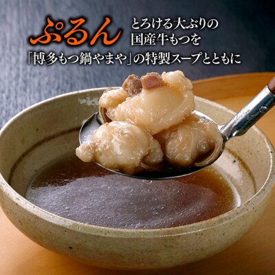 【やまや】博多もつ鍋(あごだし醤油味・1～2人前).AB529