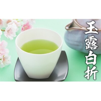 貴重な限定品.八女玉露白折650g(130g×5袋)【八女茶】.BH010