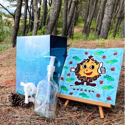 新宮町進化したまつぼっくり洗剤3kgBOX化粧箱入(専用びん付).FD004