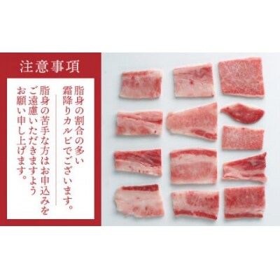 【博多和牛】A4・A5等級こくうま霜降りカルビ焼肉800g×6か月定期便.J0F001
