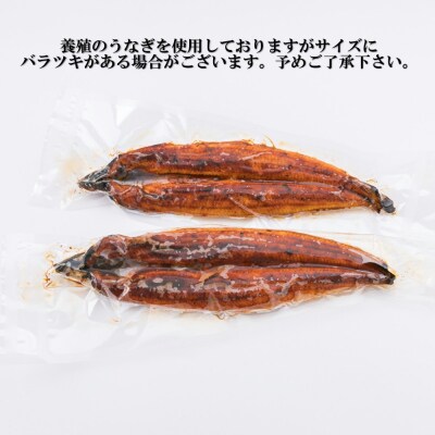 うなぎの蒲焼4尾&博多もつ鍋白みそ味(3人前)【スタミナ満点セット】.BF031