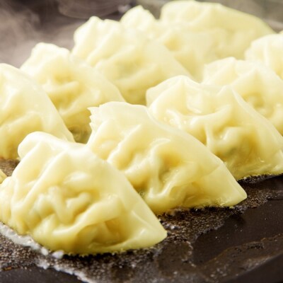 博多餃子40個+博多カレー餃子ミックスセット.AA363