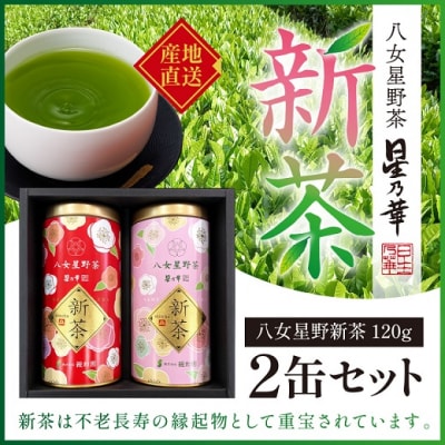 【新茶】八女星野茶(120g×2缶)/2027年5月～7月中旬頃発送【八女茶】.AA381