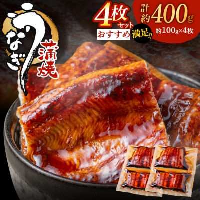 うなぎ蒲焼き(約100g×4Pセット).AB564