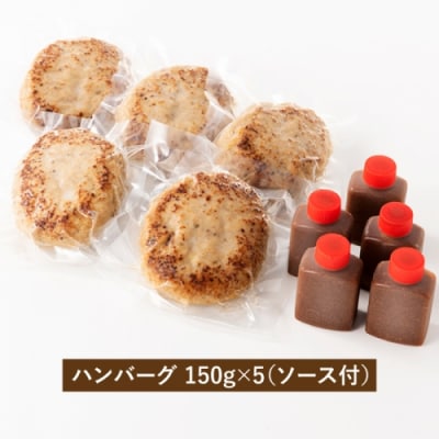 九州産黒豚ハンバーグセット.AA396