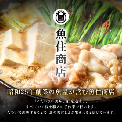 魚住商店あごだし【醤油仕立て】もつ鍋セット2～3人前、もつ増量500g【もつ鍋・醤油味】.AA404