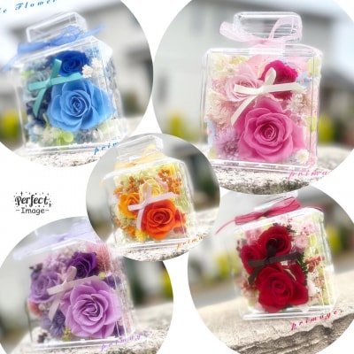 ボトルフラワー(5色から1つ選択).AC299