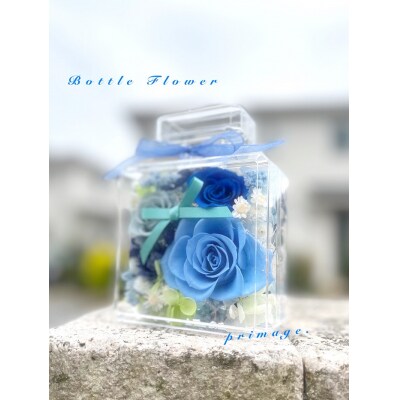 ボトルフラワー(5色から1つ選択).AC299