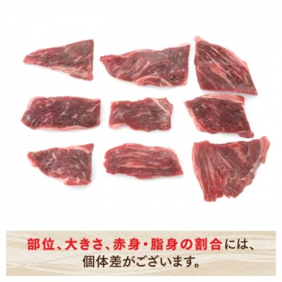 博多和牛赤身焼肉(約400グラム)【博多和牛】.AC307