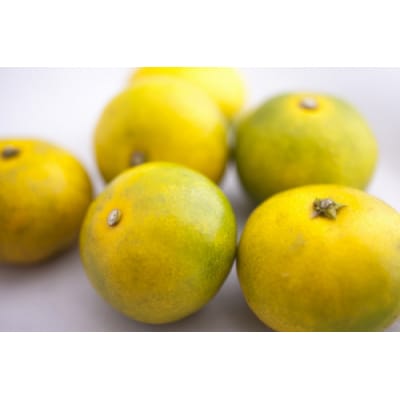 【予約受付・期間限定商品】早味かん(5kg程度).2026年9月～10月配送.AB556