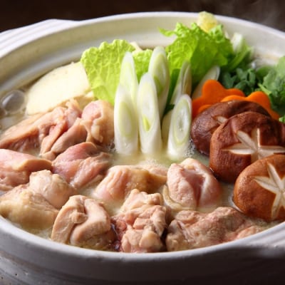訳あり!博多水炊きセット10人前(2人前×5セット)【水炊き】.AC346