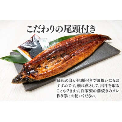 【国内産】【有頭】うなぎ蒲焼 (特大) 1尾 <計250g前後>1～2ヶ月前後でお届け!.AC318