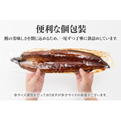 【国内産】【有頭】うなぎ蒲焼 (特大) 1尾 <計250g前後>1～2ヶ月前後でお届け!.AC318