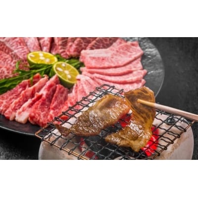 【A4～A5】博多和牛赤身モモ焼肉用約500g【博多和牛】.AE283