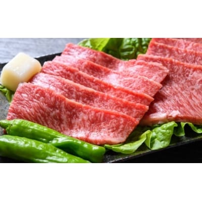 【A4～A5】博多和牛赤身モモ焼肉用約500g【博多和牛】.AE283