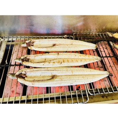 AE287.ST.うなぎ白焼2尾(計400～500g)