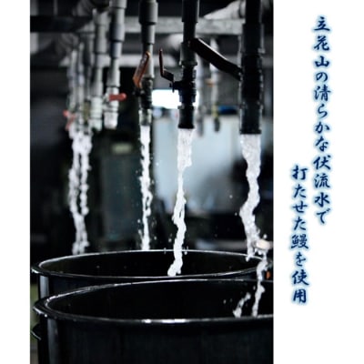 うなぎ蒲焼とうなぎ白焼食べ比べ紅白セット.AE286