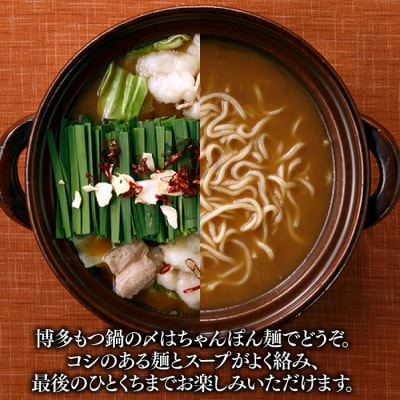 【海千】もつ鍋2～3人前セット(味噌味)【もつ鍋・味噌味】AG151