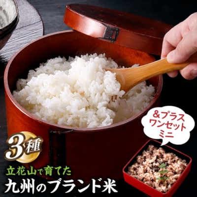 【新米】立花山・九州のブランド米・味くらべ&プラスワンセットミニ.米.お米.コメ.AD266.01