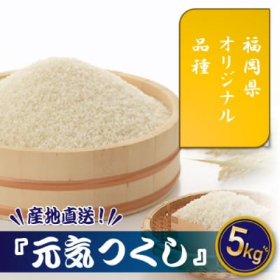 特Aも獲得した自慢のお米『元気つくし』5kg【元気つくし】.AC503