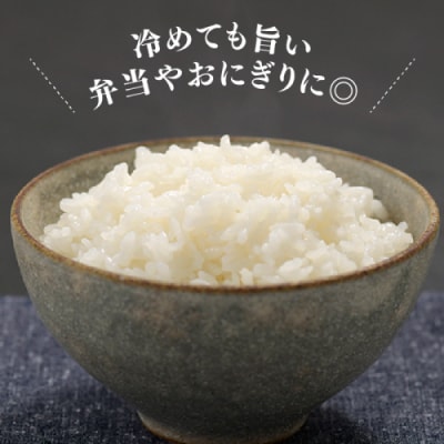 特Aも獲得した自慢のお米『元気つくし』5kg【元気つくし】.AC503