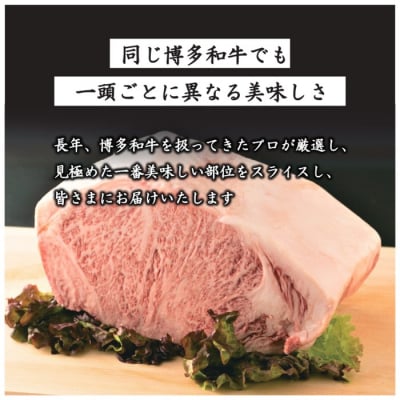 【A4～A5】博多和牛サーロインステーキ約500g(250g×2枚)【博多和牛】.AG161