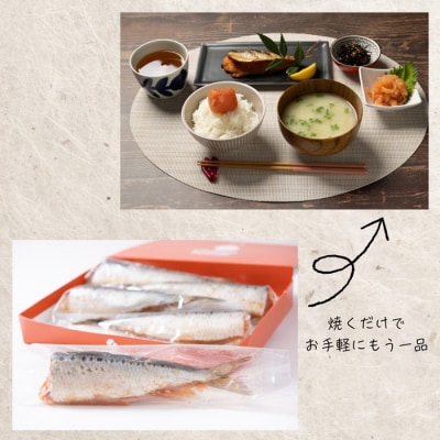 いわし明太(15尾)【辛子明太子】.AG164