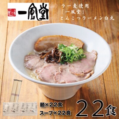 一風堂白丸ラー麦麺セット・22食【豚骨ラーメン】.B429