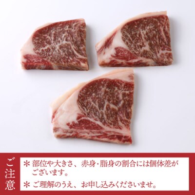 博多和牛サーロインステーキセット(450g).BA053