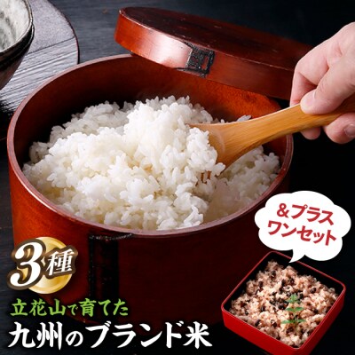 立花山で育てた九州のブランド米・味くらべ&プラスワンセット(数量限定商品).BI026