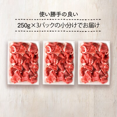 博多和牛赤身切落し750g(250g×3)【博多和牛】.C201