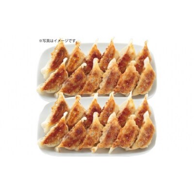 博多八助監修・うまかひとくち餃子(5セット).ZI367