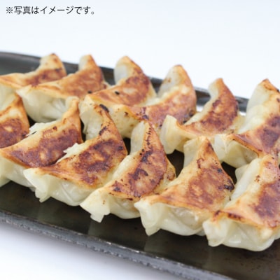 博多一風堂ひとくち餃子(5セット).ZI363