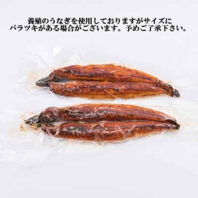 うなぎの蒲焼2尾(計400g以上)『1～2ヶ月前後でお届け!!』.ZI361