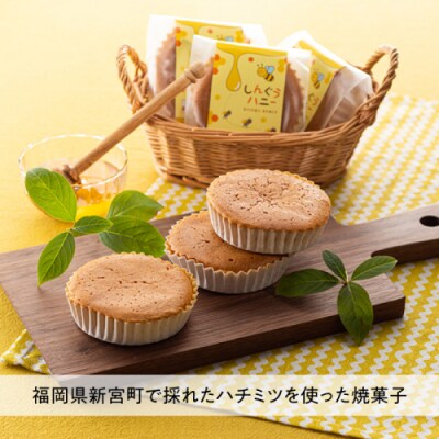 しんぐうハニー(6個入).ZI359