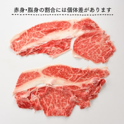 A5ランク博多和牛しゃぶしゃぶ800g.FA013