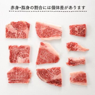 A5ランク博多和牛カルビ(焼肉用)800g.F094