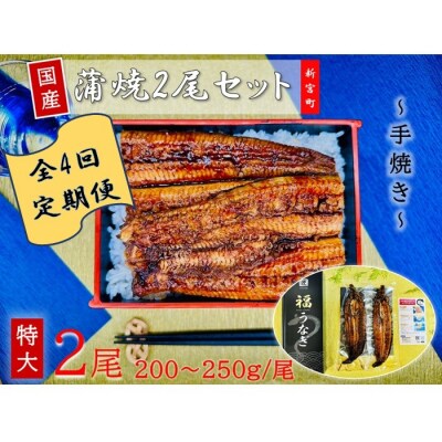 【全4回定期便】国産うなぎ蒲焼2尾(計400～500g).GF001