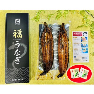 【全4回定期便】国産うなぎ蒲焼2尾(計400～500g).GF001