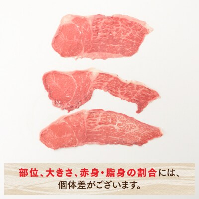 博多和牛赤身スライス(定期便:全6回).JBF007