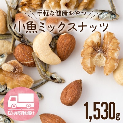 【全12回定期便】小魚入り!無塩・素焼きのミックスナッツ1,530g×12ヶ月.JEB007