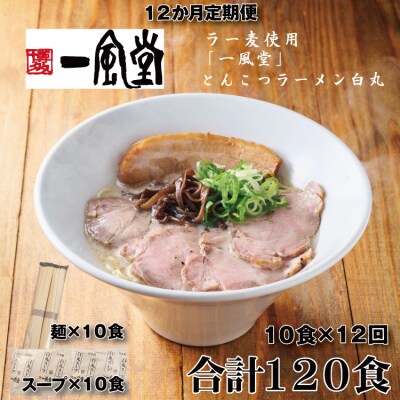 【全12回定期便】一風堂白丸ラー麦麺セット・10食【豚骨ラーメン】.JEF001