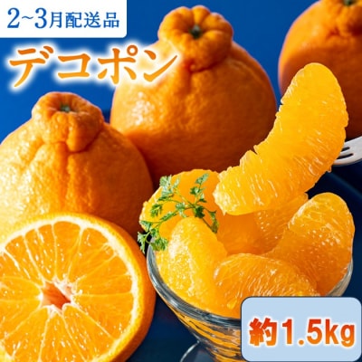 【昨年も大人気】デコポン(1.5kg程度)/2027年2月～3月配送.ZH301