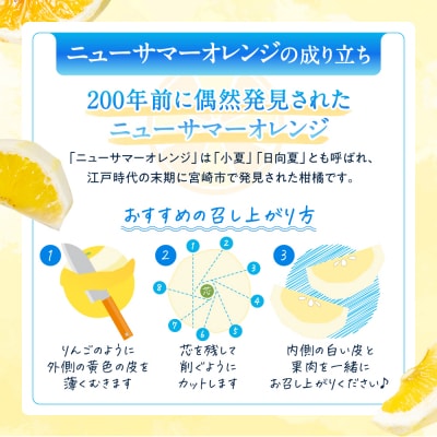 福岡柑橘王国.ニューサマーオレンジ約1.2kg/2027年4月配送.ZF240