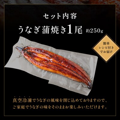 うなぎ蒲焼き1尾セット(約250g×1尾).A1684