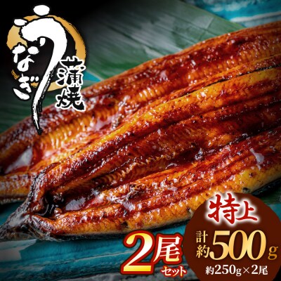 うなぎ蒲焼き2尾セット(約250g×2尾).AC357