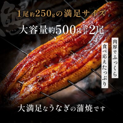 うなぎ蒲焼き2尾セット(約250g×2尾).AC357